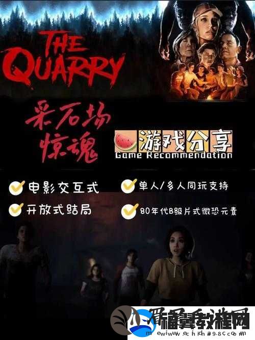 采石场惊魂联机教程及其在游戏资源管理策略中的关键作用解析