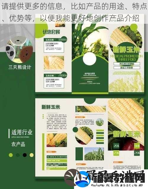 请提供更多的信息