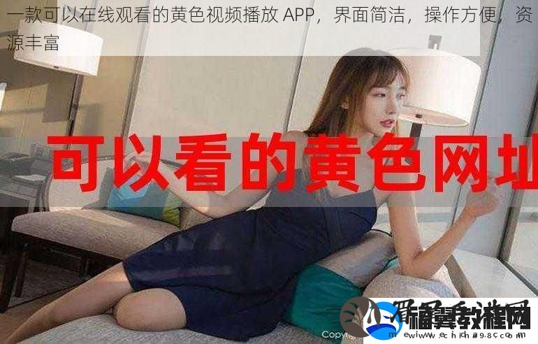 一款可以在线观看的黄色视频播放