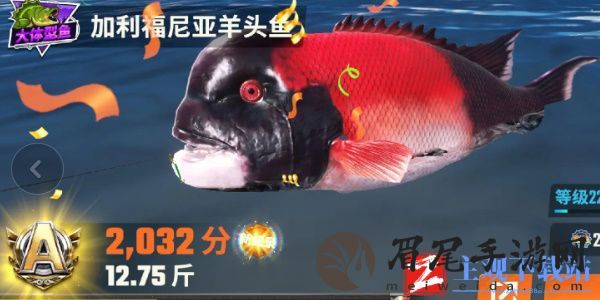 欢乐钓鱼大师鱼类有哪些