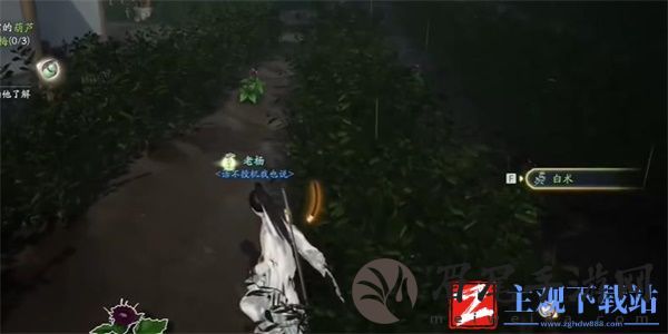 射雕手游白术收集方法