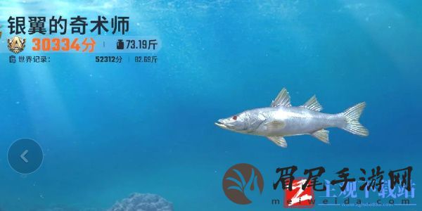 欢乐钓鱼大师鱼类有哪些