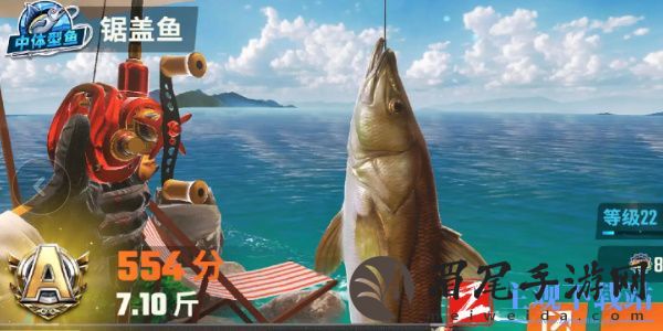 欢乐钓鱼大师鱼类有哪些