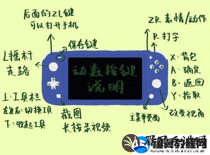 糖豆人Switch版全面操作指南-手柄键位详细解析与一览