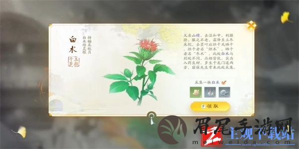 射雕手游白术收集方法-射雕手游白术收集详细攻略