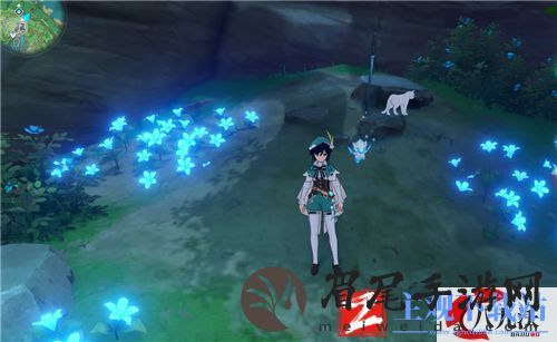 原神蓝宝石在哪里抓