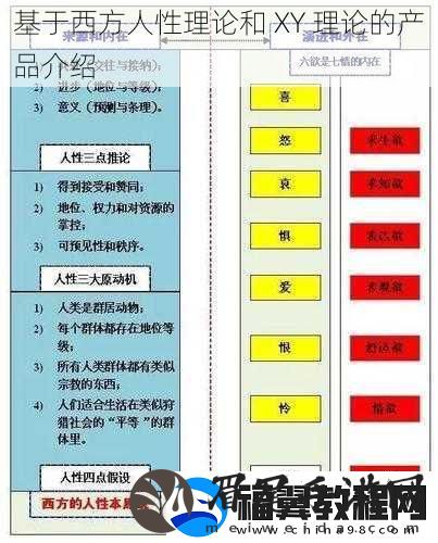 基于西方人性理论和-XY-理论的产品介绍