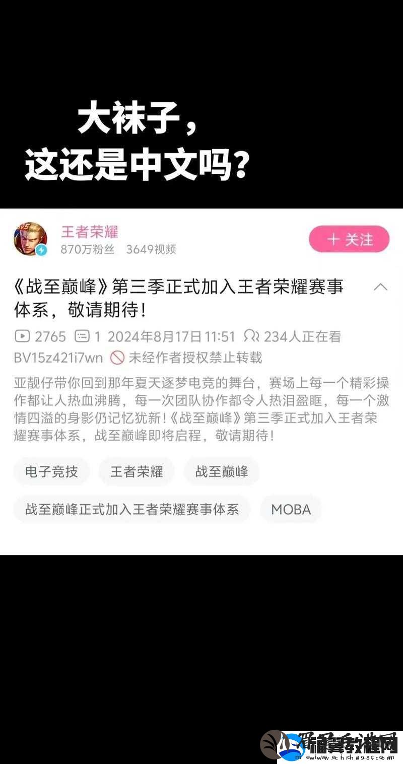 王者荣耀战至巅峰