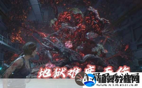 生化危**诡影难度