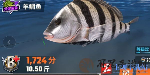 欢乐钓鱼大师鱼类有哪些
