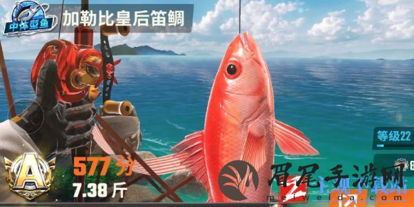 欢乐钓鱼大师鱼类有哪些