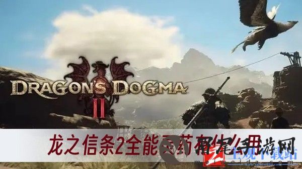 龙之信条2全能灵药有什么用