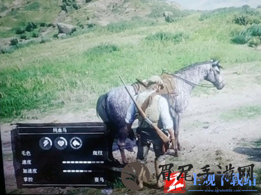 荒野大镖客2满速纯血马怎么抓