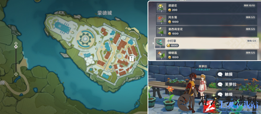 原神4.5小灯草采集路线