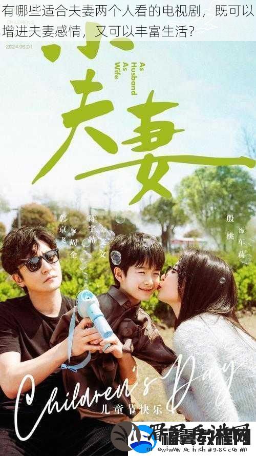 有哪些适合夫妻两个人看的电视剧既可以增进夫妻感情又可以丰富生活