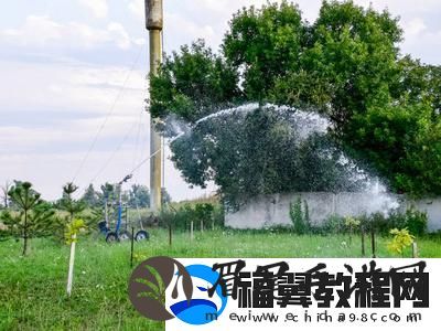 被系统浇灌的日常