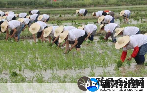 夫妻之间的108种插秧法图片