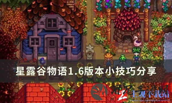 《星露谷物语》1.6版本小技巧分享 1.6版本细节