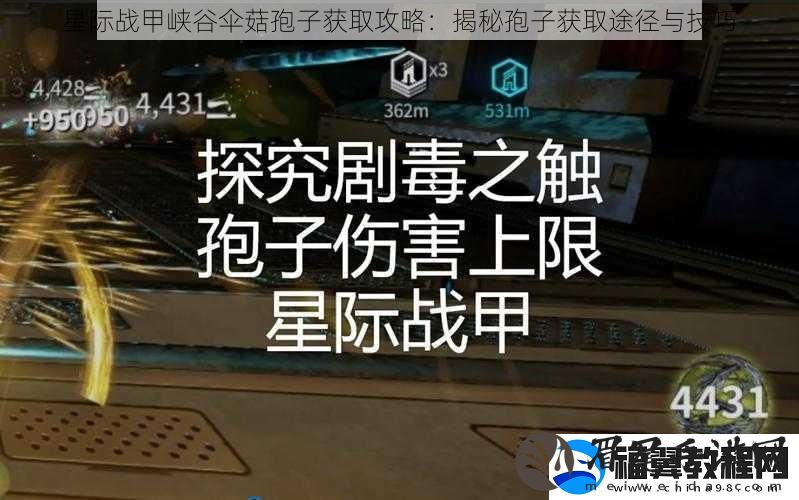 星际战甲峡谷伞菇孢子获取攻略