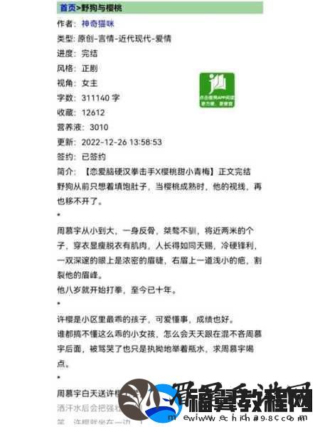 三个糙汉一个软妹组
