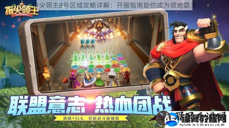 指尖领主8号区域攻略详解