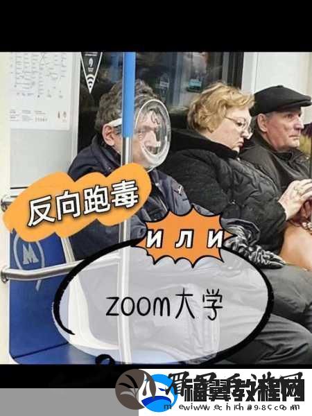 农场ZOOM与人性ZOOM区别