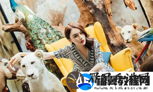 售楼小姐4免费高清观看
