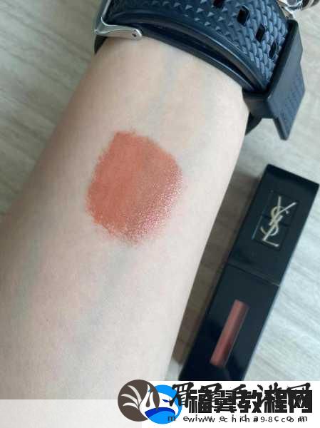ysl蜜桃棕调色