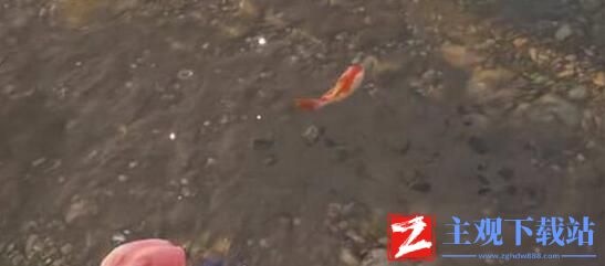 永劫无间锦鲤位置介绍
