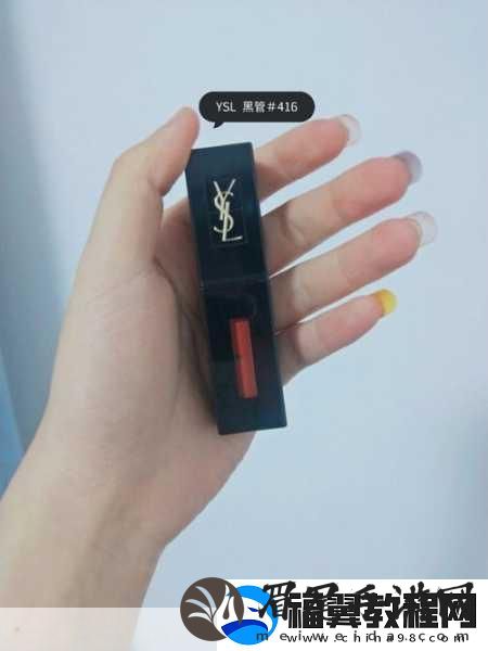 YSL千人千色T9T9T9T9成爆款