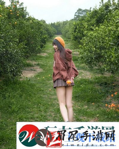 成品网站1688免费入口网页版怎样