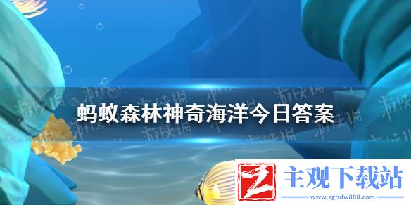 帝王蟹更喜欢以下哪种海洋环境-神奇海洋2月10日答案