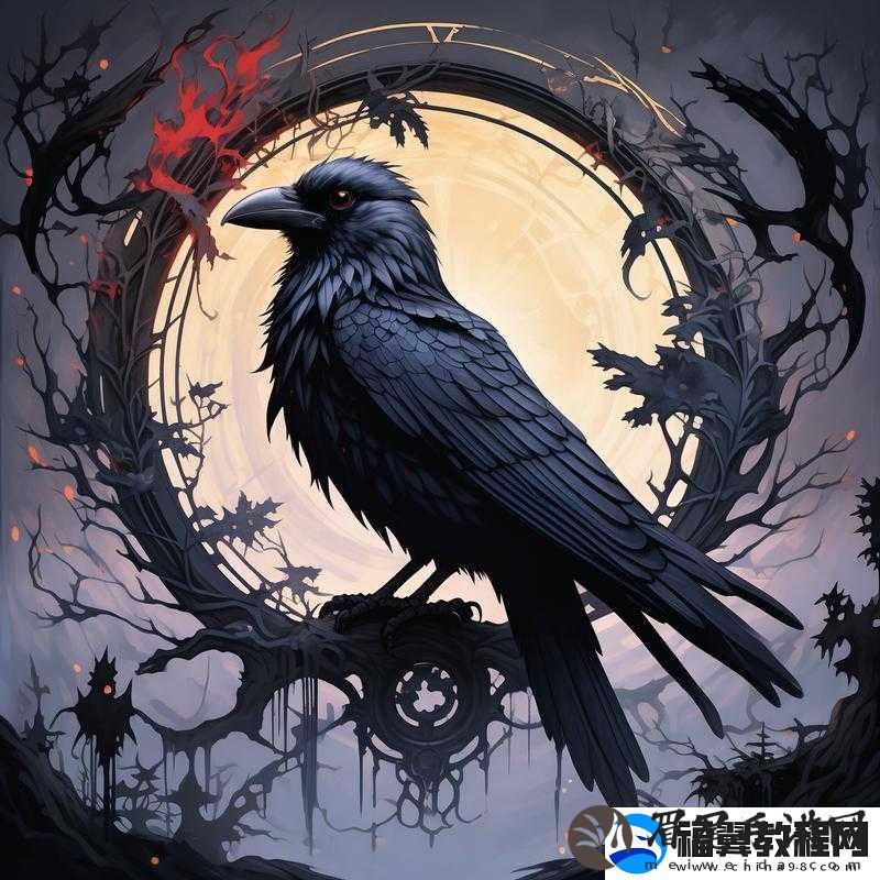 秘密入口属于男人的站：探索神秘世界