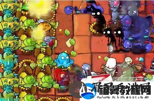 植物大战僵尸杂交版挑战模式第8关怎么过