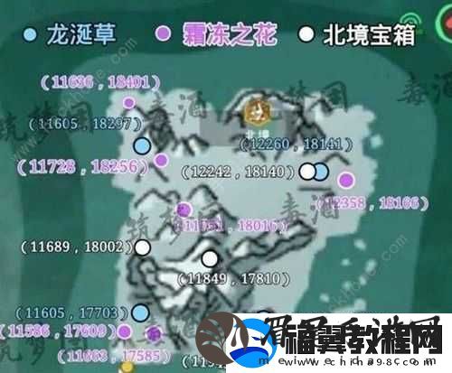 探寻创造与魔法中龙涎草的神秘隐藏位置：助力飞龙饲料获取