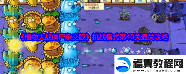 植物大战僵尸杂交版挑战模式第40关全攻略与通关技巧分享