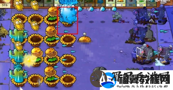 植物大战僵尸杂交版挑战模式第40关全攻略与通关技巧分享