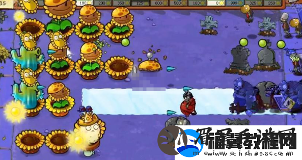 植物大战僵尸杂交版挑战模式第40关全攻略与通关技巧分享