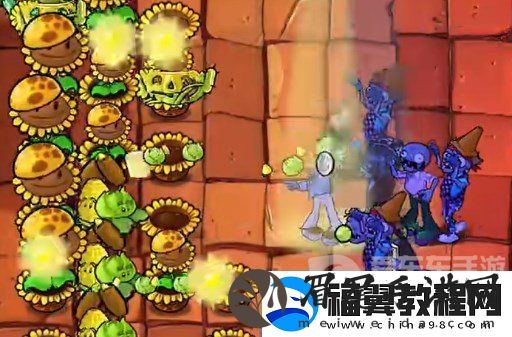 植物大战僵尸杂交版挑战模式第8关怎么过
