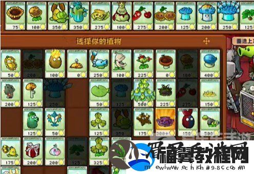 植物大战僵尸杂交版挑战模式第8关怎么过
