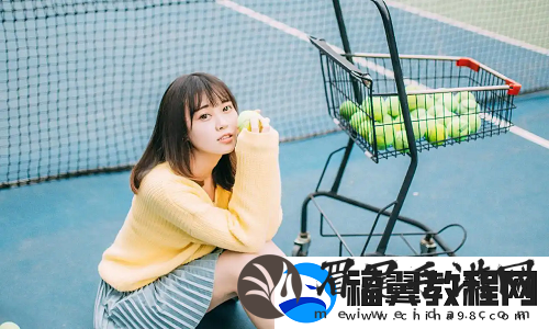 日本免费三色电费2024年